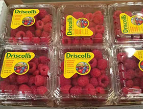 Driscoll’s公司在中國市場銷售的鮮果